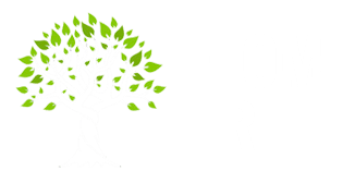 Logo belonging to Flom Tree providing quality tree care solutions near Faribault, MN. Contact us (507)-649-1198.